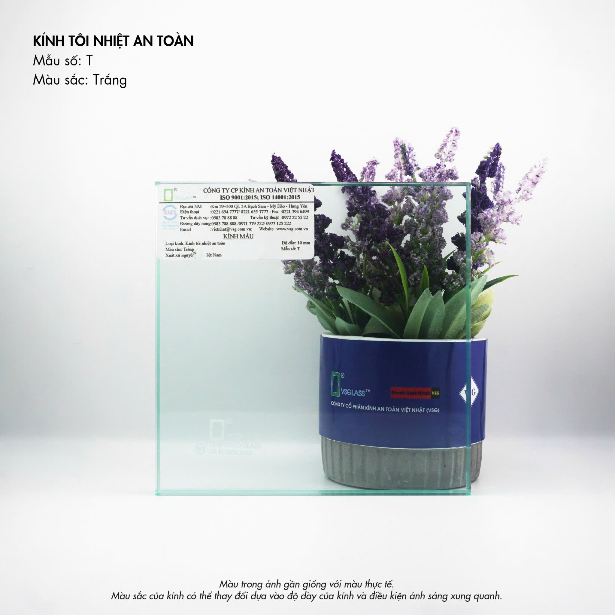 Kính VSG 12mm